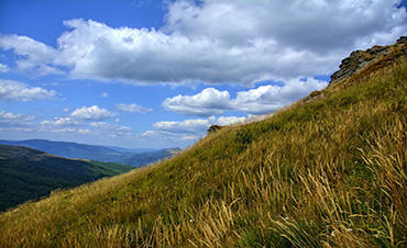 DOMKI NAD STRUMYKIEM - Domki całoroczne koło Soliny