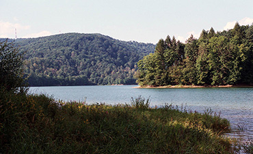 DOMKI NAD STRUMYKIEM - Domki całoroczne koło Soliny